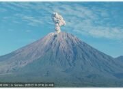 Semeru Erupsi Lagi Pagi Ini, Kolom Abu Membubung 1.000 Meter