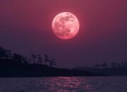 Fenomena Pink Moon April 2026 Dan Waktu Terbaik Pengamatan di Indonesia