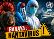 Wabah Hantavirus Gegerkan Dunia, WHO Keluarkan Peringatan Serius